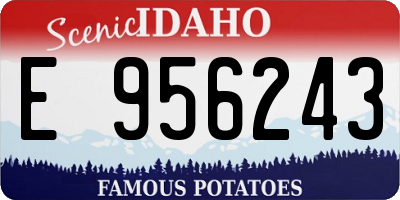 ID license plate E956243