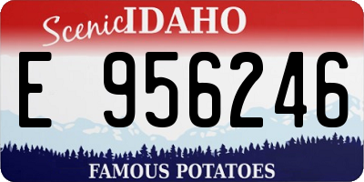 ID license plate E956246