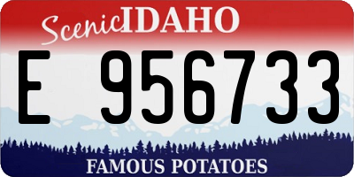 ID license plate E956733