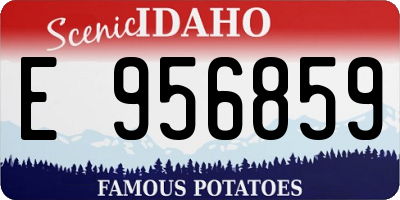 ID license plate E956859