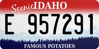 ID license plate E957291