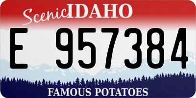 ID license plate E957384