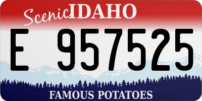 ID license plate E957525