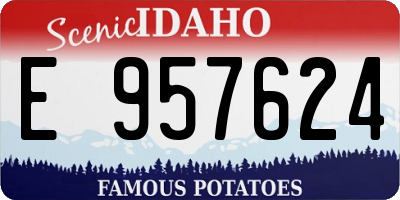 ID license plate E957624