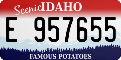 ID license plate E957655