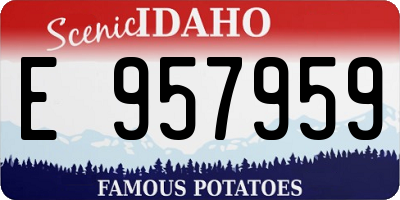 ID license plate E957959