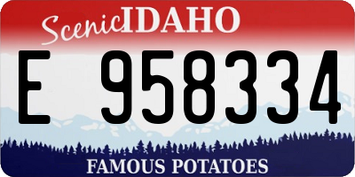 ID license plate E958334