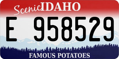 ID license plate E958529