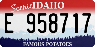 ID license plate E958717