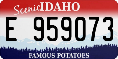 ID license plate E959073