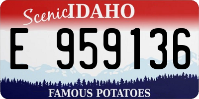 ID license plate E959136