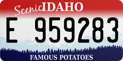 ID license plate E959283