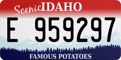 ID license plate E959297