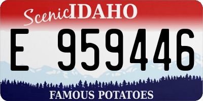 ID license plate E959446