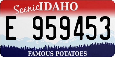 ID license plate E959453