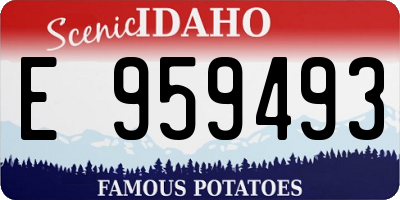 ID license plate E959493