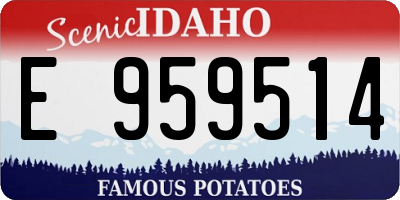 ID license plate E959514
