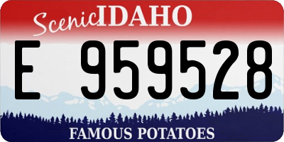 ID license plate E959528