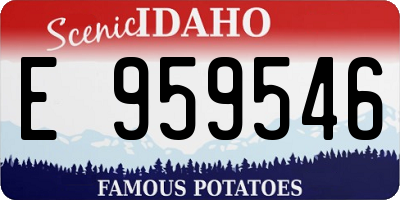 ID license plate E959546