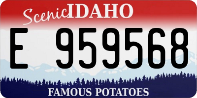 ID license plate E959568
