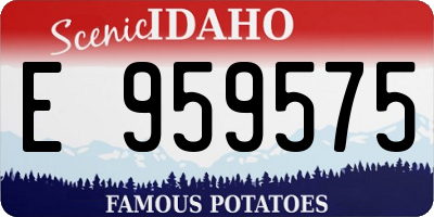 ID license plate E959575