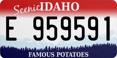 ID license plate E959591