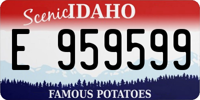 ID license plate E959599