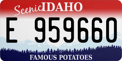 ID license plate E959660