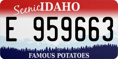 ID license plate E959663