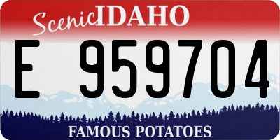 ID license plate E959704
