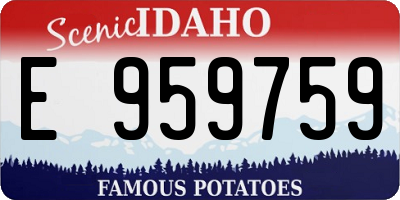 ID license plate E959759