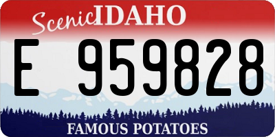 ID license plate E959828