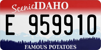 ID license plate E959910