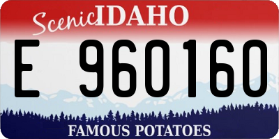 ID license plate E960160