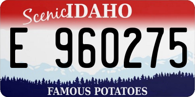 ID license plate E960275