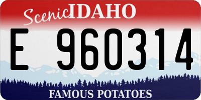 ID license plate E960314