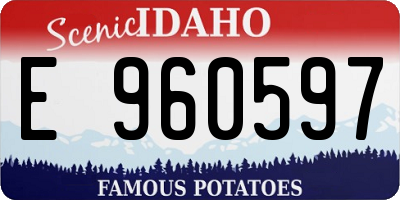ID license plate E960597