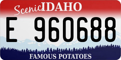 ID license plate E960688