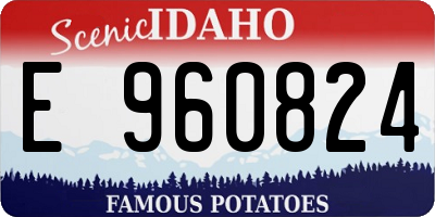 ID license plate E960824