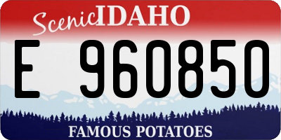 ID license plate E960850