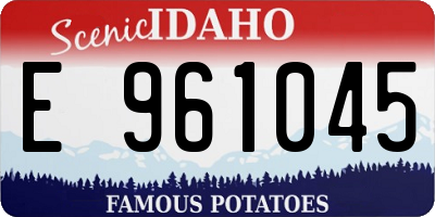 ID license plate E961045