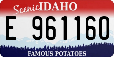 ID license plate E961160