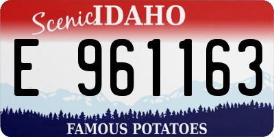 ID license plate E961163