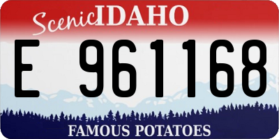 ID license plate E961168