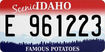 ID license plate E961223