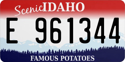 ID license plate E961344