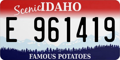 ID license plate E961419