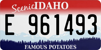 ID license plate E961493