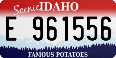 ID license plate E961556