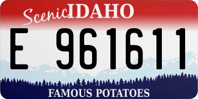 ID license plate E961611